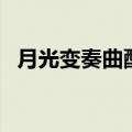 月光变奏曲配音演员表（月光变奏曲简介）