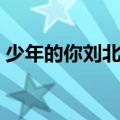 少年的你刘北山杀了谁（刘北山杀了魏莱吗）