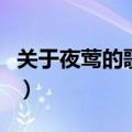 关于夜莺的歌声的资料（夜莺的歌声课文资料）