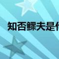 知否鳏夫是什么意思（知否里鳏夫的意思）