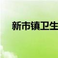 新市镇卫生院（关于新市镇卫生院简介）