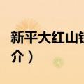 新平大红山铁铜矿（关于新平大红山铁铜矿简介）