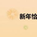 新年恰恰（关于新年恰恰简介）