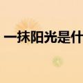 一抹阳光是什么寓意（一抹阳光是什么含义）