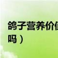 鸽子营养价值（鸽子的这些营养价值你发现了吗）