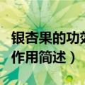 银杏果的功效与作用是什么（银杏果的功效与作用简述）