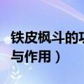 铁皮枫斗的功效与作用（铁皮枫斗有什么功效与作用）