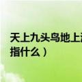 天上九头鸟地上湖北佬是什么意思（天上九头鸟地上湖北佬指什么）