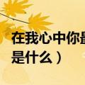 在我心中你最美歌词（在我心中你最美的歌词是什么）