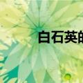 白石英的功效与作用（你知道吗）