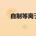 自制等离子切割机原理（其实很简单）