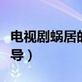 电视剧蜗居的结局是什么（这部电视剧有谁执导）