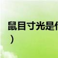 鼠目寸光是什么生肖（鼠目寸光的意思及造句）