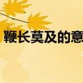 鞭长莫及的意思是什么（怎么理解鞭长莫及）