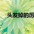 头发掉的厉害是什么原因（为什么脱发）
