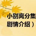 小别离分集剧情介绍（关于小别离1到5分集剧情介绍）