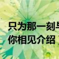 只为那一刻与你相见剧情介绍（只为那一刻与你相见介绍）