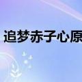 追梦赤子心原唱歌词（追梦赤子心歌手是谁）