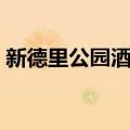 新德里公园酒店（关于新德里公园酒店简介）