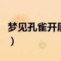 梦见孔雀开屏是什么意思（梦见孔雀开屏含义）