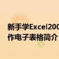 新手学Excel2007制作电子表格（关于新手学Excel2007制作电子表格简介）
