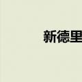 新德里港（关于新德里港简介）