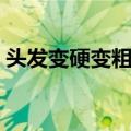 头发变硬变粗的方法（如何让头发变硬变粗）