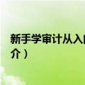 新手学审计从入门到精通（关于新手学审计从入门到精通简介）