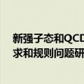 新强子态和QCD求和规则问题研究（关于新强子态和QCD求和规则问题研究简介）