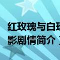 红玫瑰与白玫瑰电影剧情（红玫瑰与白玫瑰电影剧情简介）