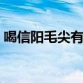 喝信阳毛尖有什么好处（喝信阳毛尖的作用）