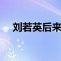 刘若英后来歌词（刘若英后来完整歌词）