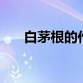 白茅根的作用（白茅根的作用是什么）