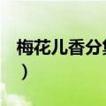 梅花儿香分集剧情（梅花儿香1-8集剧情简介）