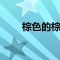 棕色的棕组词（棕色的棕有哪些词）