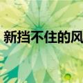 新挡不住的风情（关于新挡不住的风情简介）