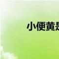 小便黄是什么原因（分两种情况）