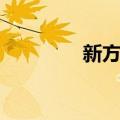 新方言（关于新方言简介）