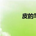 皮的笔顺怎么写（皮的解释）