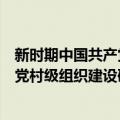 新时期中国共产党村级组织建设研究（关于新时期中国共产党村级组织建设研究简介）