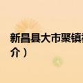 新昌县大市聚镇初级中学（关于新昌县大市聚镇初级中学简介）