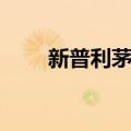 新普利茅斯（关于新普利茅斯简介）