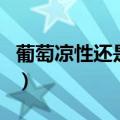 葡萄凉性还是热性（关于葡萄的食物属性介绍）