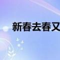 新春去春又回（关于新春去春又回简介）