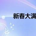 新春大满贯（关于新春大满贯简介）