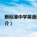 新标准中学英语语法大全（关于新标准中学英语语法大全简介）