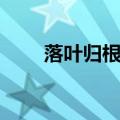 落叶归根歌词（落叶归根完整歌词）