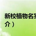 新校植物名实图考（关于新校植物名实图考简介）