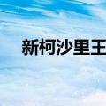 新柯沙里王国（关于新柯沙里王国简介）