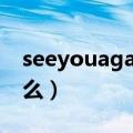 seeyouagain歌词（seeyouagain歌词是什么）